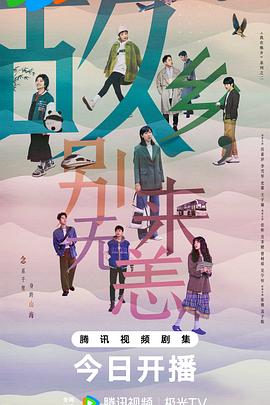 金山区网站优化方案